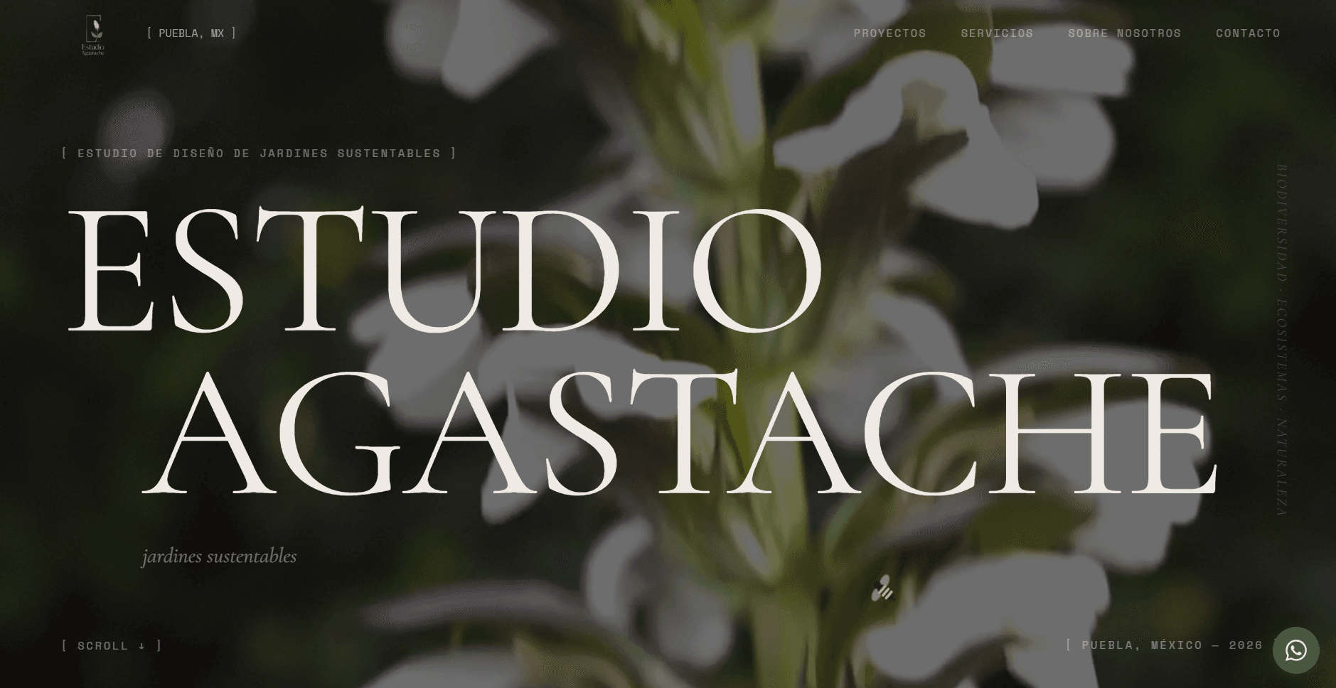 Estudio Agastache